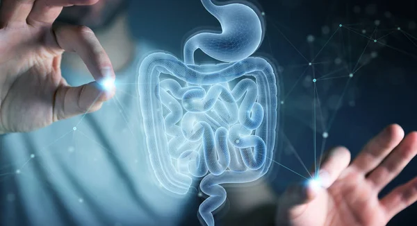 10 Maneiras de Como a Microbiota Intestinal Impacta na sua Saúde e Bem-Estar